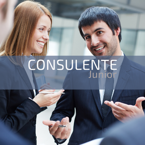 consulente junior