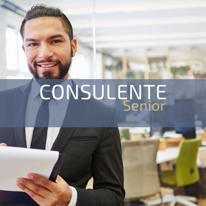 consulente senior